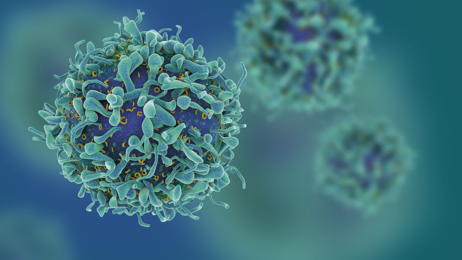¿Qué es el Cáncer?