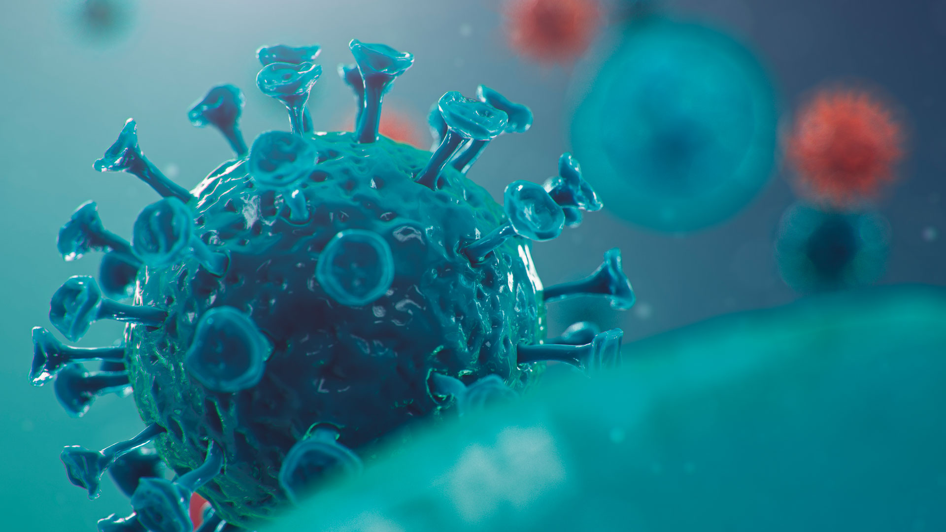 Coronavirus y COVID-19: lo que debe saber